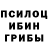 Галлюциногенные грибы Psilocybine cubensis Matyoqib Hikmativ