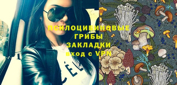 стафф Зерноград
