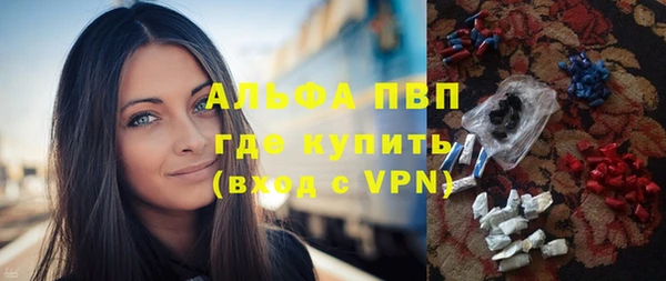 СК Сафоново