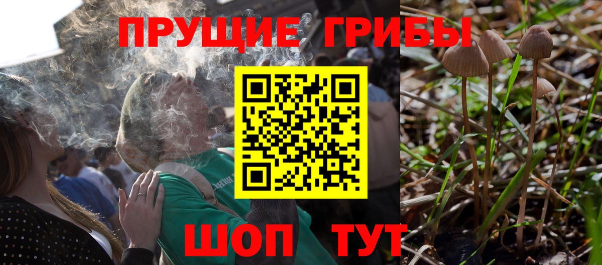 Галлюциногенные грибы MAGIC MUSHROOMS Среднеуральск